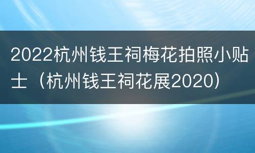 2022杭州钱王祠梅花拍照小贴士（杭州钱王祠花展2020）