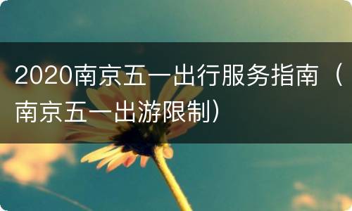 2020南京五一出行服务指南（南京五一出游限制）