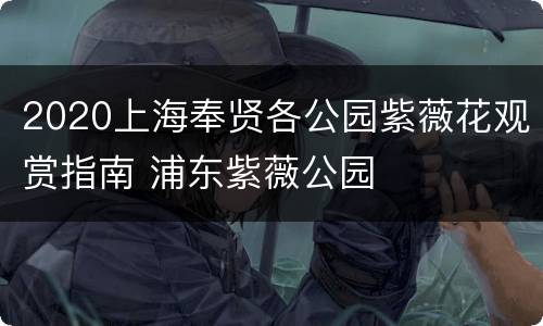 2020上海奉贤各公园紫薇花观赏指南 浦东紫薇公园