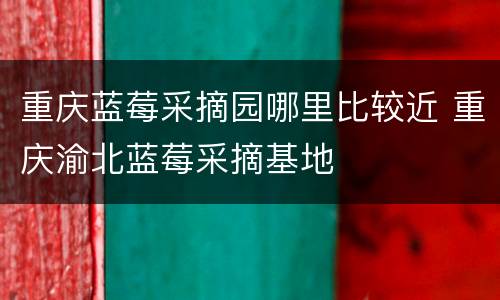 重庆蓝莓采摘园哪里比较近 重庆渝北蓝莓采摘基地