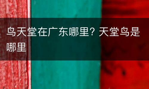 鸟天堂在广东哪里? 天堂鸟是哪里
