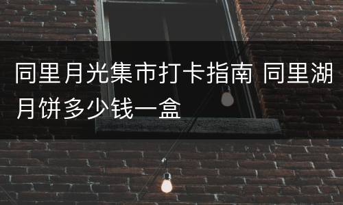 同里月光集市打卡指南 同里湖月饼多少钱一盒