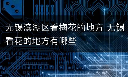 无锡滨湖区看梅花的地方 无锡看花的地方有哪些