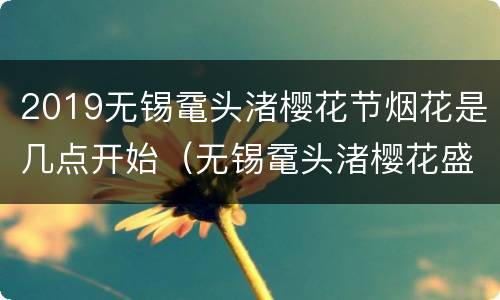 2019无锡鼋头渚樱花节烟花是几点开始（无锡鼋头渚樱花盛开）