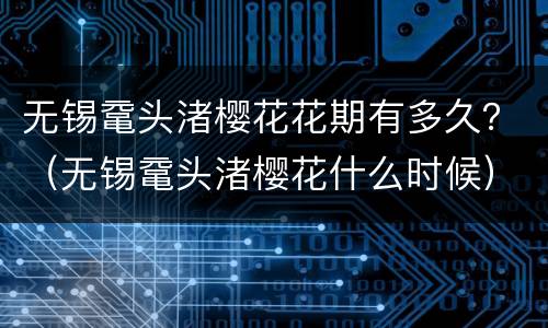 无锡鼋头渚樱花花期有多久？（无锡鼋头渚樱花什么时候）
