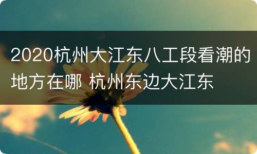 2020杭州大江东八工段看潮的地方在哪 杭州东边大江东