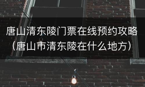 唐山清东陵门票在线预约攻略（唐山市清东陵在什么地方）