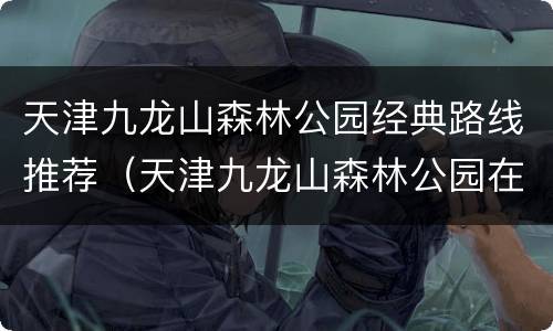 天津九龙山森林公园经典路线推荐（天津九龙山森林公园在哪里）