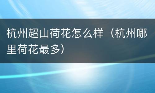 杭州超山荷花怎么样（杭州哪里荷花最多）