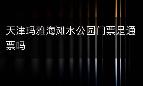 天津玛雅海滩水公园门票是通票吗