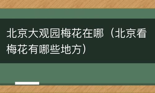 北京大观园梅花在哪（北京看梅花有哪些地方）