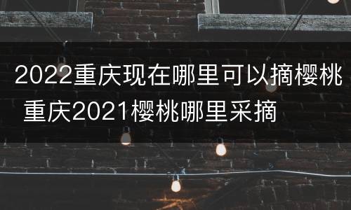 2022重庆现在哪里可以摘樱桃 重庆2021樱桃哪里采摘
