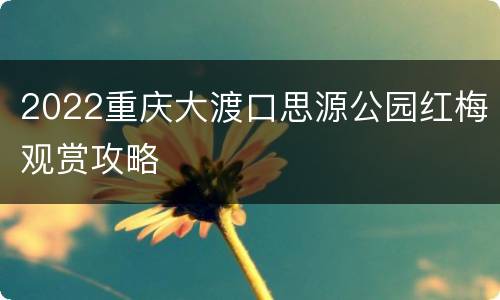 2022重庆大渡口思源公园红梅观赏攻略