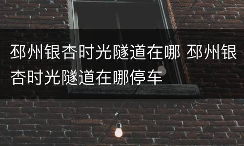 邳州银杏时光隧道在哪 邳州银杏时光隧道在哪停车
