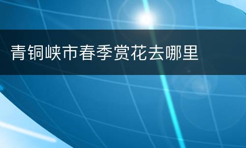 青铜峡市春季赏花去哪里
