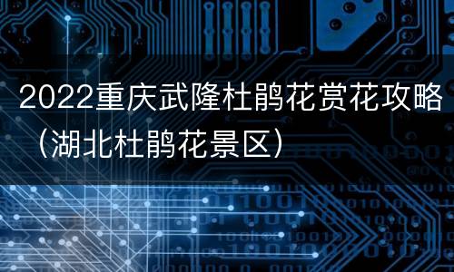 2022重庆武隆杜鹃花赏花攻略（湖北杜鹃花景区）