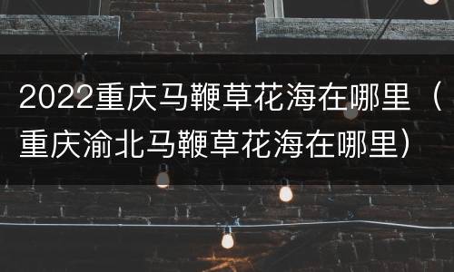 2022重庆马鞭草花海在哪里（重庆渝北马鞭草花海在哪里）