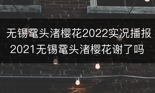 无锡鼋头渚樱花2022实况播报 2021无锡鼋头渚樱花谢了吗