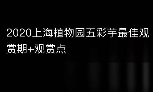 2020上海植物园五彩芋最佳观赏期+观赏点