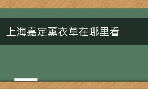 上海嘉定薰衣草在哪里看