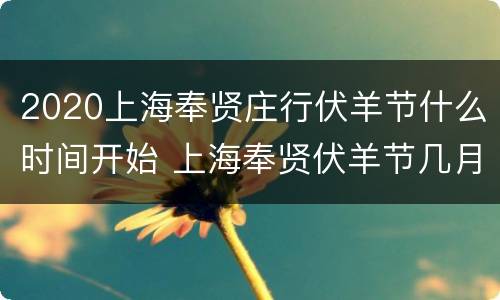 2020上海奉贤庄行伏羊节什么时间开始 上海奉贤伏羊节几月