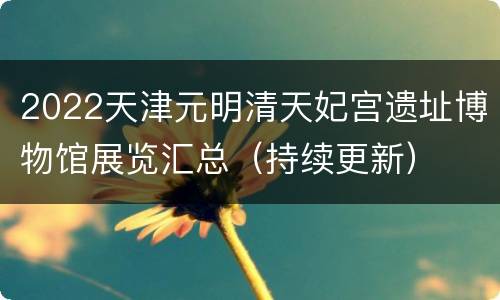 2022天津元明清天妃宫遗址博物馆展览汇总（持续更新）