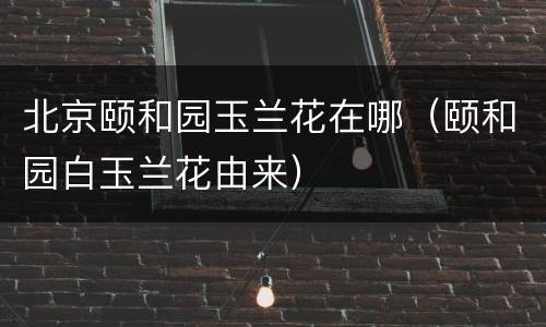 北京颐和园玉兰花在哪（颐和园白玉兰花由来）