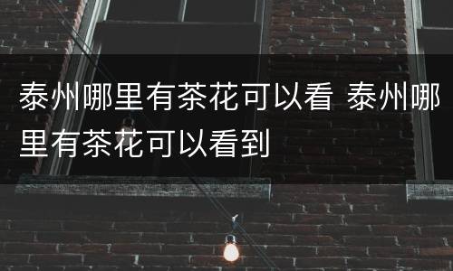 泰州哪里有茶花可以看 泰州哪里有茶花可以看到
