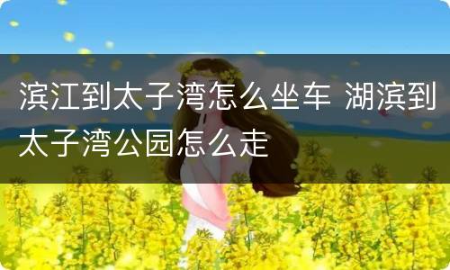 滨江到太子湾怎么坐车 湖滨到太子湾公园怎么走