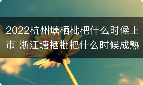 2022杭州塘栖枇杷什么时候上市 浙江塘栖枇杷什么时候成熟