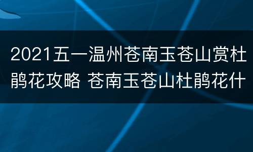 2021五一温州苍南玉苍山赏杜鹃花攻略 苍南玉苍山杜鹃花什么时候开