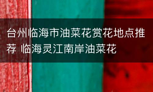 台州临海市油菜花赏花地点推荐 临海灵江南岸油菜花
