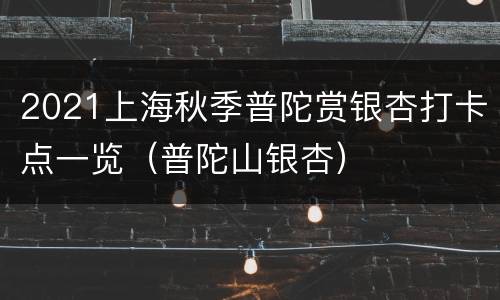 2021上海秋季普陀赏银杏打卡点一览（普陀山银杏）