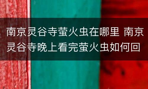 南京灵谷寺萤火虫在哪里 南京灵谷寺晚上看完萤火虫如何回市区方便