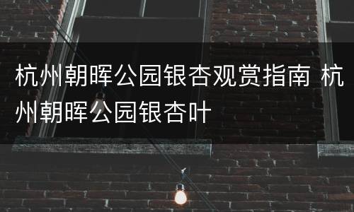 杭州朝晖公园银杏观赏指南 杭州朝晖公园银杏叶