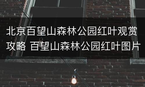 北京百望山森林公园红叶观赏攻略 百望山森林公园红叶图片