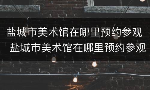 盐城市美术馆在哪里预约参观 盐城市美术馆在哪里预约参观呢