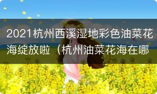 2021杭州西溪湿地彩色油菜花海绽放啦（杭州油菜花海在哪里）