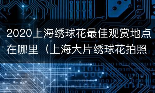 2020上海绣球花最佳观赏地点在哪里（上海大片绣球花拍照地）