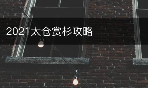 2021太仓赏杉攻略
