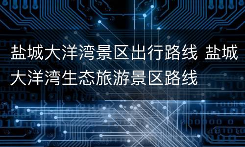 盐城大洋湾景区出行路线 盐城大洋湾生态旅游景区路线