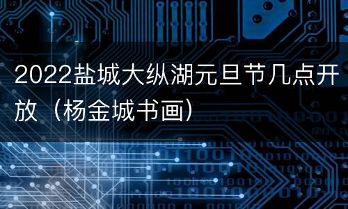 2022盐城大纵湖元旦节几点开放（杨金城书画）