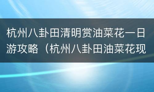 杭州八卦田清明赏油菜花一日游攻略（杭州八卦田油菜花现在开了吗）
