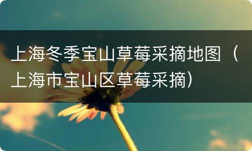 上海冬季宝山草莓采摘地图（上海市宝山区草莓采摘）