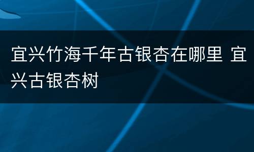 宜兴竹海千年古银杏在哪里 宜兴古银杏树