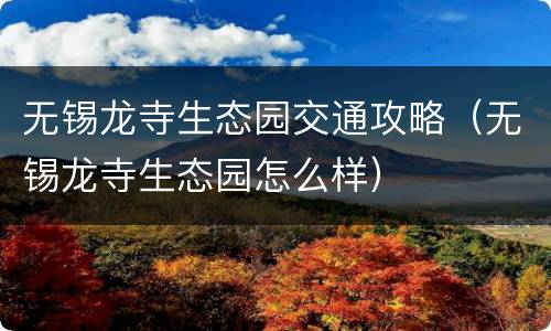 无锡龙寺生态园交通攻略（无锡龙寺生态园怎么样）