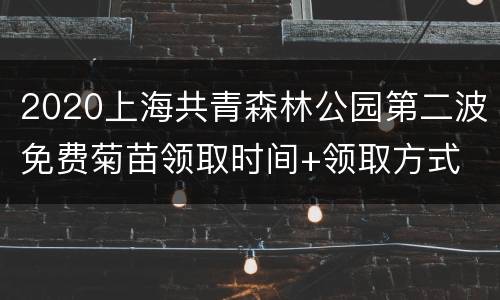 2020上海共青森林公园第二波免费菊苗领取时间+领取方式