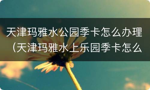 天津玛雅水公园季卡怎么办理（天津玛雅水上乐园季卡怎么用）