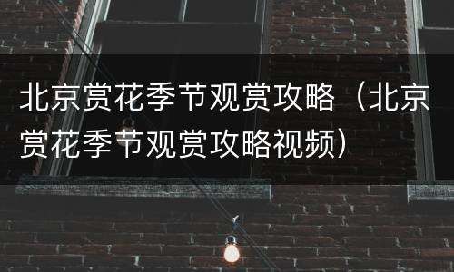 北京赏花季节观赏攻略（北京赏花季节观赏攻略视频）