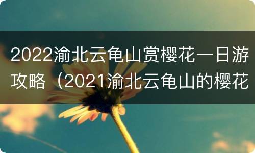 2022渝北云龟山赏樱花一日游攻略（2021渝北云龟山的樱花开了吗）